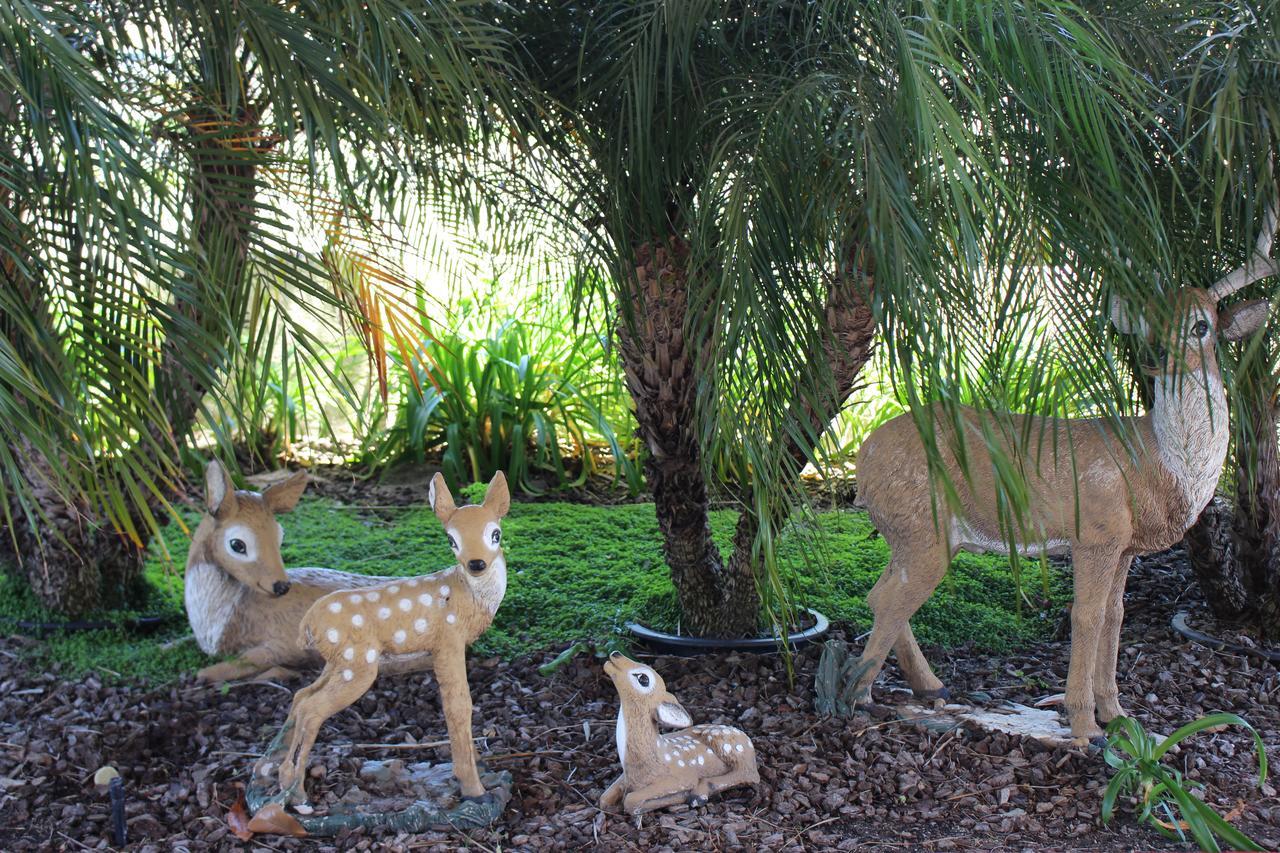 O'Cairns Inn And Suites Lompoc Dış mekan fotoğraf